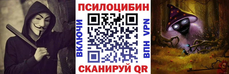 где продают наркотики  Сасово  Галлюциногенные грибы Psilocybine cubensis 