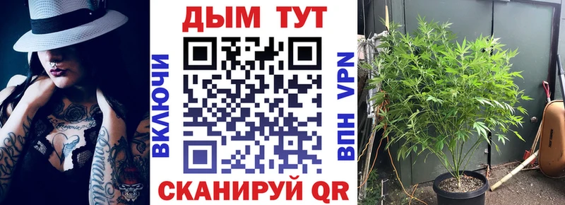 Канабис SATIVA & INDICA  Сасово 